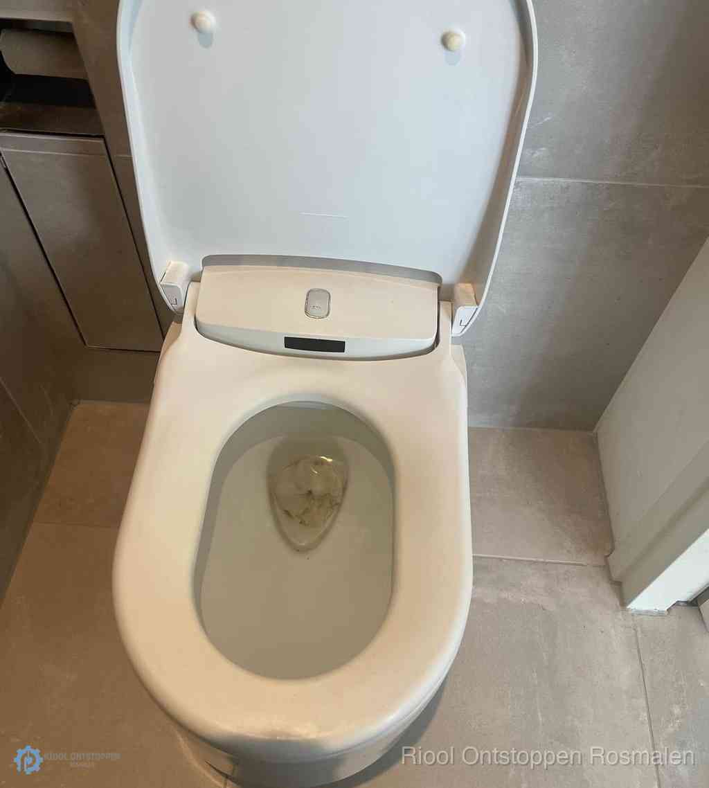 Toilet Ontstoppen Rosmalen Toilet Ontstoppen Rosmalen